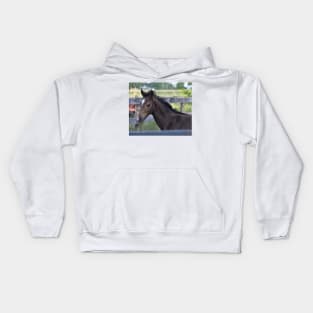 TB colt Kids Hoodie